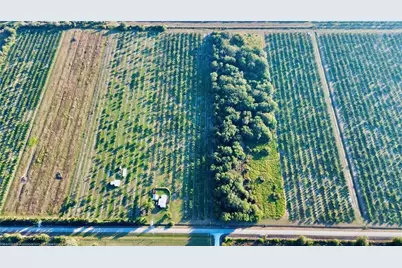 2205 Hicks Road, Lorida, FL 33857 - Photo 2