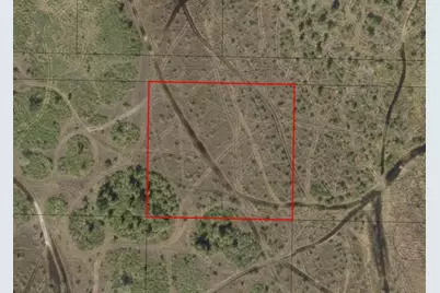 0 NW 310th Street, Okeechobee, FL 34972 - Photo 2