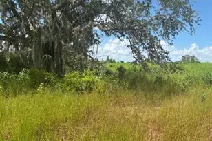 0 NW 316th St, Okeechobee, FL 34972 - Photo 1