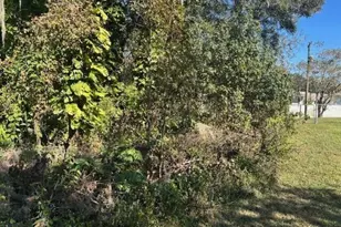 0 Maple Hill Ct, Lakeland, FL 33811 - Photo 1