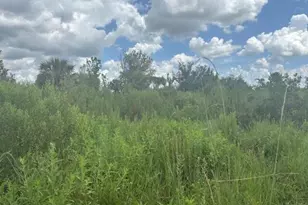 0 312th St, Okeechobee, FL 34972 - Photo 1