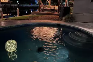 2160 NE 44th Ct, Pompano Beach, FL 33064 - Photo 44