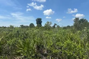 0 NW 310th St, Okeechobee, FL 34972 - Photo 1