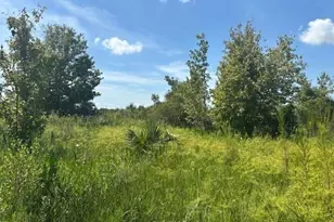 0 NW 310th St, Okeechobee, FL 34972 - Photo 1