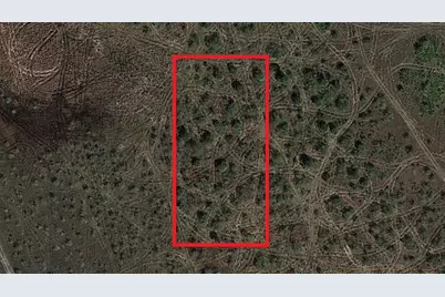 0 NW 310th Street, Okeechobee, FL 34972 - Photo 2