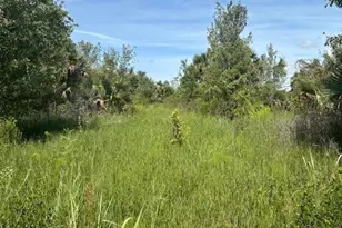 0 NW 310th St, Okeechobee, FL 34972 - Photo 1