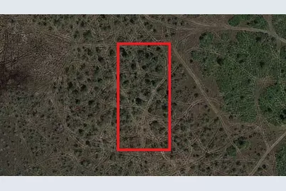 0 NW 310th Street, Okeechobee, FL 34972 - Photo 2