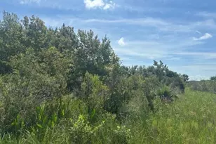 0 NW 310th St, Okeechobee, FL 34972 - Photo 1