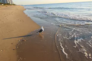 3204 Colony Club Rd, Pompano Beach, FL 33062 - Photo 2