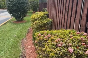 10525 SW 153rd Ct, Miami, FL 33196 - Photo 4