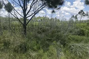 0 Xeriscape Nursery Rd, Frostproof, FL 33843 - Photo 1