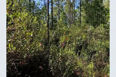 0 Old Grade Road, Polk City, FL 33868 - Photo 1