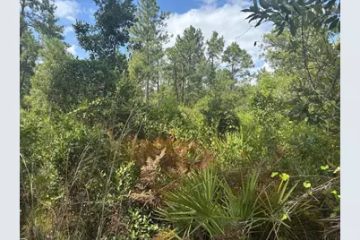 0 Hwy 630E, Frostproof, FL 33843 - Photo 2