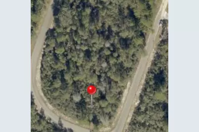 Tbd Fisher Way Track Tbd Fisher Way Track Fisher Way, Ocklawaha, FL 32179 - Photo 1