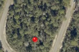 Tbd Fisher Way Track Tbd Fisher Way Track Fisher Way, Ocklawaha, FL 32179 - Photo 1