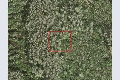 0 Holopaw Groves Road, Saint Cloud, FL 34772 - Photo 1