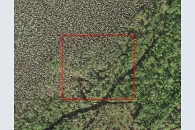 0 Holopaw Groves Road, Saint Cloud, FL 34772 - Photo 2