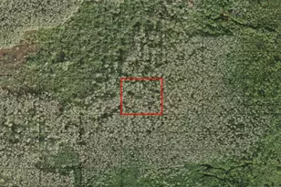 0 Holopaw Groves Rd, Saint Cloud, FL 34772 - Photo 1