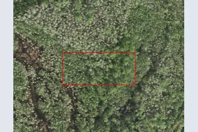 0 Holopaw Groves Road, Saint Cloud, FL 34772 - Photo 1