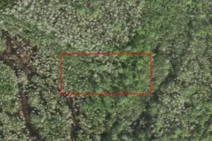 0 Holopaw Groves Rd, Saint Cloud, FL 34772 - Photo 1