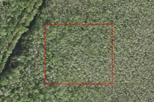 0 Holopaw Groves Rd, Saint Cloud, FL 34772 - Photo 1