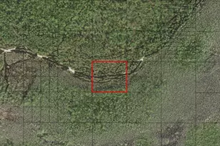 0 Holopaw Groves Rd, Saint Cloud, FL 34772 - Photo 1