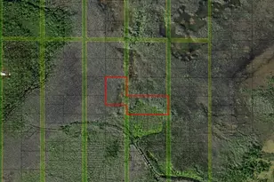 0 Holopaw Groves Rd, Saint Cloud, FL 34772 - Photo 1