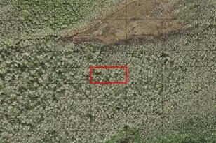 0 Holopaw Groves Rd, Saint Cloud, FL 34772 - Photo 1