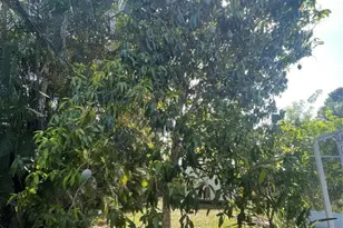 1150 SW Jumper St, Port Saint Lucie, FL 34983 - Photo 28