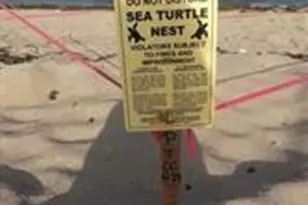 3236 NE 5th St, Pompano Beach, FL 33062 - Photo 28