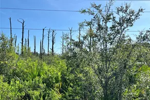 34964 N Hwy 441, Okeechobee, FL 34972 - Photo 1