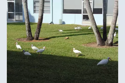 9788 Marina Boulevard #313, Boca Raton, FL 33428 - Photo 62