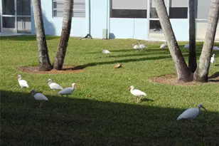 9788 Marina Blvd, Boca Raton, FL 33428 - Photo 62