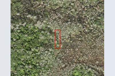 0 Holopaw Groves Road, Saint Cloud, FL 34772 - Photo 1