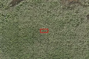 0 Holopaw Groves Rd, Saint Cloud, FL 34772 - Photo 1