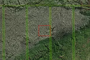 0 Holopaw Groves Rd, Saint Cloud, FL 34772 - Photo 1