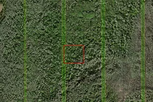 0 Holopaw Groves Rd, Saint Cloud, FL 34772 - Photo 1