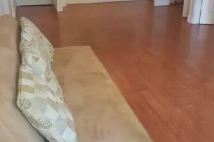 733 SE 1st Way, Deerfield Beach, FL 33441 - Photo 6