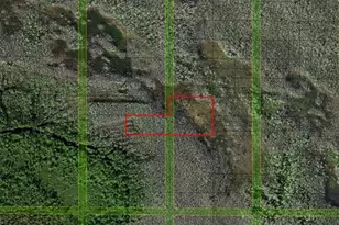 0 Holopaw Groves Rd, Saint Cloud, FL 34772 - Photo 1