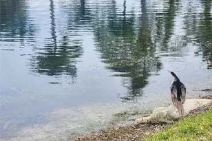 2223 Park Ln, Hollywood, FL 33021 - Photo 16