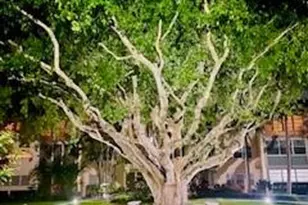 [Address not provided], Boca Raton, FL 33431 - Photo 22