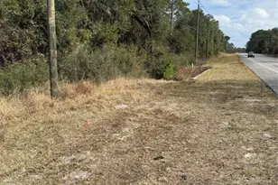 2108 S Hwy 17, Crescent City, FL 32112 - Photo 1