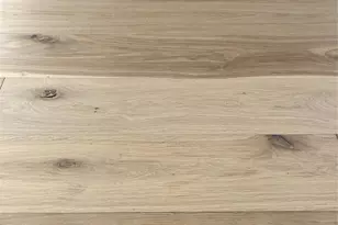 8801 N Miami Ave, Miami, FL 33150 - Photo 34