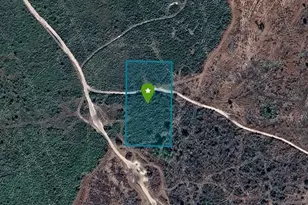 0 NW 314th St, Okeechobee, FL 34972 - Photo 1