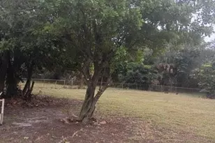 17345 NW 18th Ave, Miami Gardens, FL 33056 - Photo 12