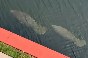 3200 NE 36th St, Fort Lauderdale, FL 33308 - Photo 52