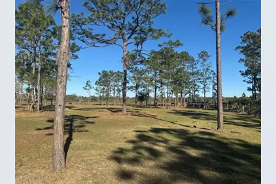 Tbd Tbd Us-441, Okeechobee, FL 34972 - Photo 4