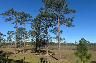 Tbd Tbd Us-441, Okeechobee, FL 34972 - Photo 1