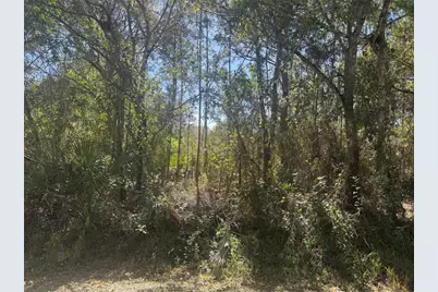 508 NW 30th Lane, Okeechobee, FL 34972 - Photo 2