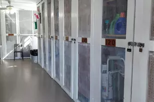 1951 NE 39th St, Lighthouse Point, FL 33064 - Photo 36